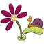fleurdemeninges